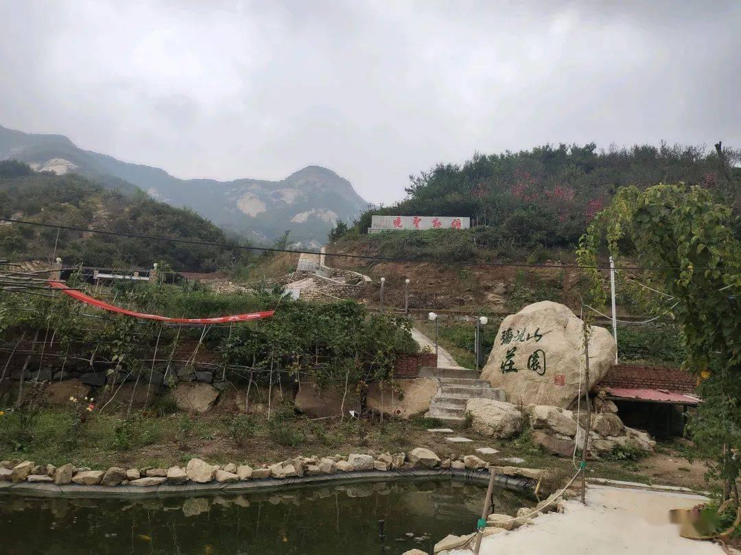 发现冷知识的读学前教育这个 专业出来可以考小学教师证吗?平台